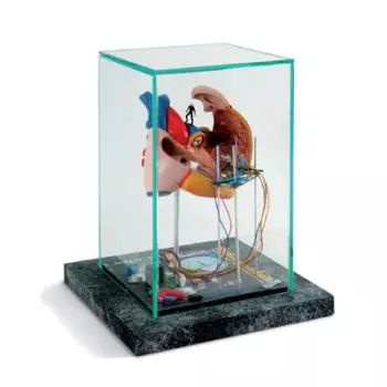 Petite vitrine  Méat acoustique  W23000