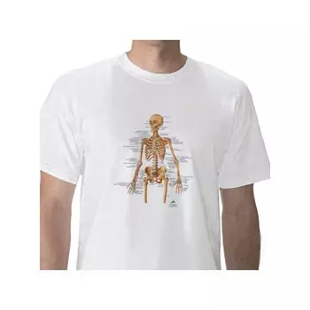 T-Shirt anatomique, Squelette, XL W41011