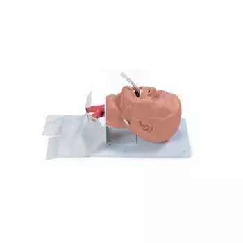 Modèle de tête d'intubation adulte pour la formation W44687 3B Scientific