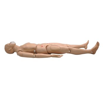 Simulateur corps intégral avec des régions veineuses CPR SIMON BLS 3B Scientific W45115 1017559