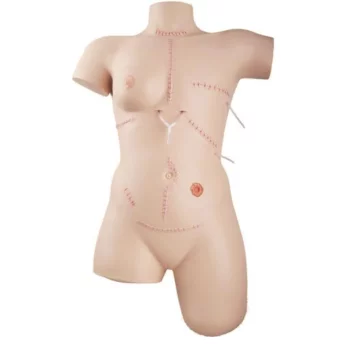 Simulateur de soins des plaies et techniques de pansement P100 3B Scientific