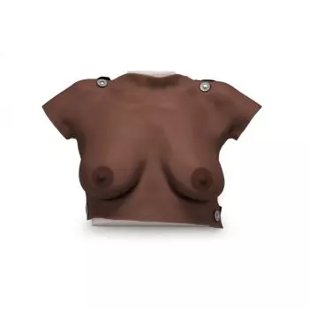 Modèle de palpation, teint foncé  1023308 L51D 3B Scientific