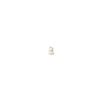 Pastilles Ecoflam, lot de 60