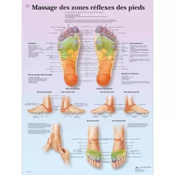 Planche anatomique Massage des zones réflexes des pieds VR2810L