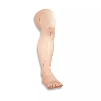 Simulateur de suture sur jambe R10024 Erler Zimmer