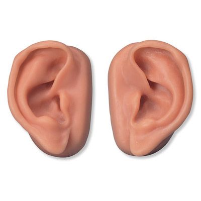 Kit D Oreilles Pour Acupuncture N16 3b Scientific A 460 56