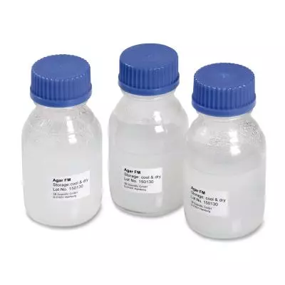 Agar nutritif (3x 175 ml)