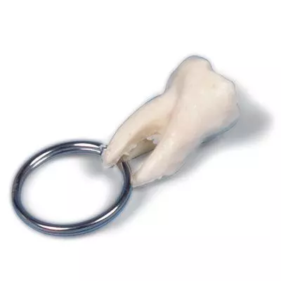 Porte-clé Molaire W40009