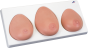 Modèle de palpation mammaire, trois seins sur un socle L55
