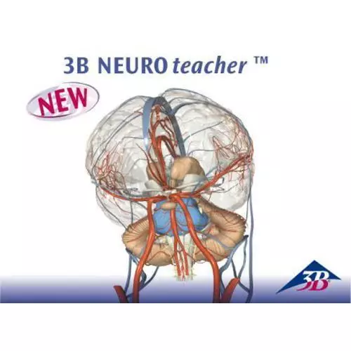 Logiciel anatomique 3B NEURO teacher, Licence Utilisateur Unique
