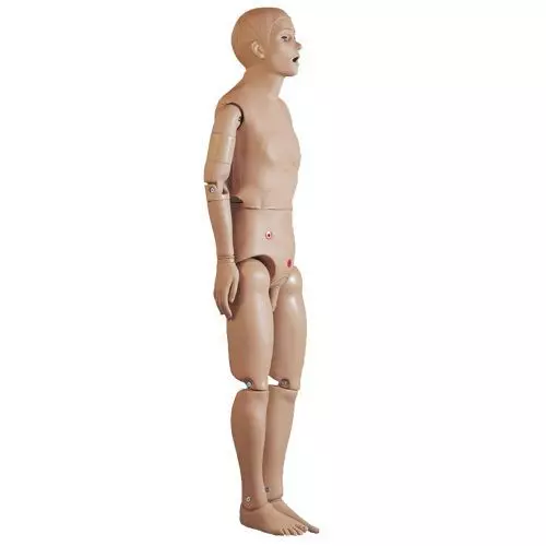 Mannequin pour soins hospitaliers de base masculin W45070