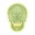 Crâne fluorescent en trois parties A20/N