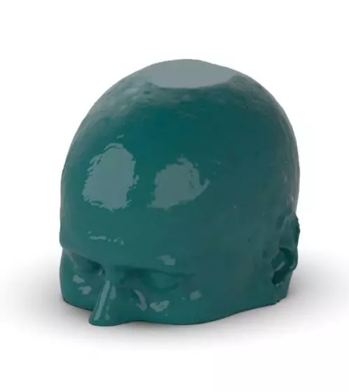Fantôme tête et cou pour tomodensitométrie radiographie et radiothérapie Erler Zimmer