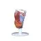 Larynx, en 2 parties G22