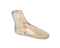 Fantôme radiographique du pied Erler Zimmer