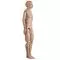 Mannequin pour soins hospitaliers de base masculin W45070