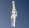 Mini-articulation du genou, sans socle A85