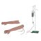 Bras pour injection et ponction veineuse et intramusculaire