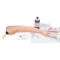 Modèle de Bras d’injection IV et IM 3B Scientific W44002