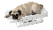Pèse-animaux Pet Soehnle 8352