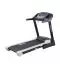 Tapis connectable CareFitness Runner II 