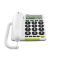 Téléphone Doro PhoneEasy 312cs