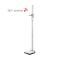 Toise électronique Seca 274 fonction mobile 360° Wireless
