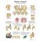 Planche anatomique Bassin et hanche - Anatomie et pathologie VR2172L
