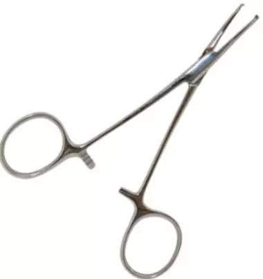Pince Kocher droite en inox