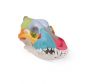 Crâne de chien avec peinture didactique VET1708 Erler Zimmer