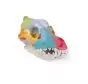 Crâne de chien avec peinture didactique VET1708 Erler Zimmer