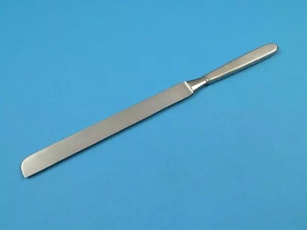Couteau à Cerveau, lame de 19 cm