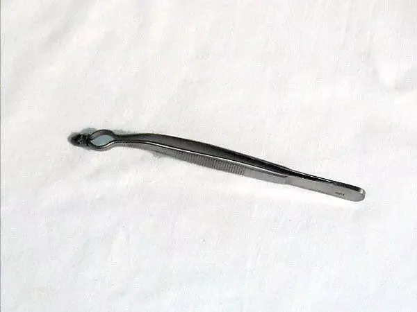 Pince à instrument de Davis Holtex 16 cm