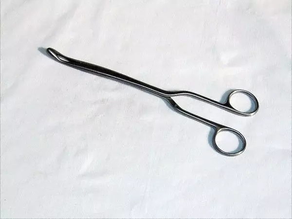 Pince à Végétations de Chatelier, 22 cm