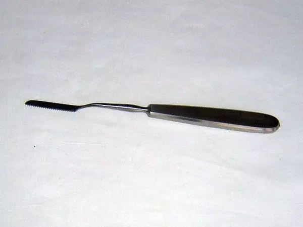 Scie Nasale de Joseph, 19,5 cm, coudée à droite