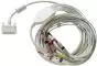 Câble patient à fiches banane pour ECG Cardioline