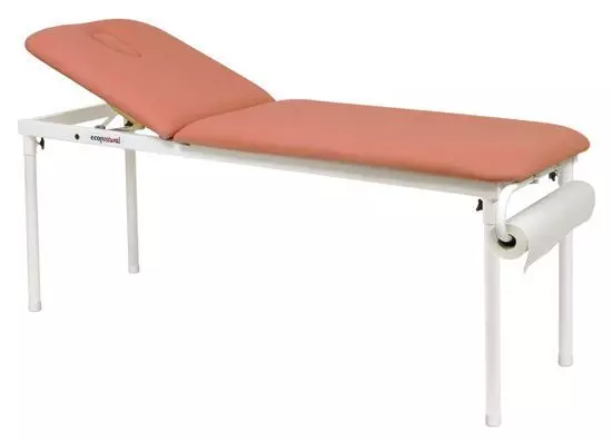 Table fixe métallique Ecopostural hauteur fixe C3520