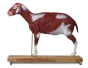 Modèle de mouton 2/3 grandeur nature Erler Zimmer