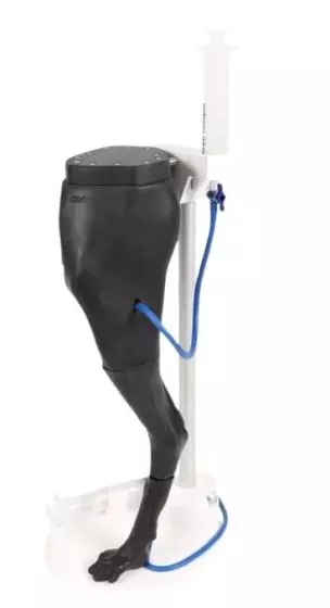 Simulateur de ponction veineuse et injection musculaire Erler Zimmer Vicky