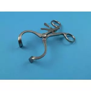 Ouvre-Bouche Doyen, adulte