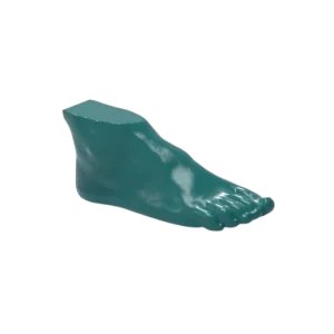 Fantôme de pied pour tomodensitométrie radiographie et radiothérapie Erler Zimmer