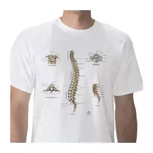 T-Shirt anatomique, Colonne Vertébrale, XL W41031