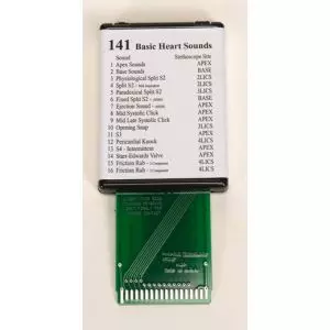 Simulateur de Bruits du cœur fondamentaux 3B Scientific W49423