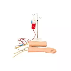 Bras d'entraînement pour transfusion intraveineuse avec main et coude