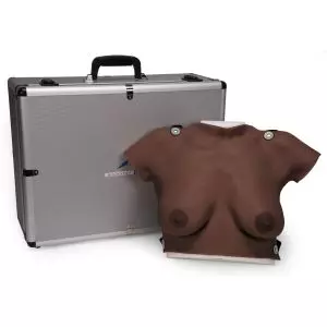 Modèle de palpation mammaire L50 peau foncée 3B Scientific avec valise et planche anatomique