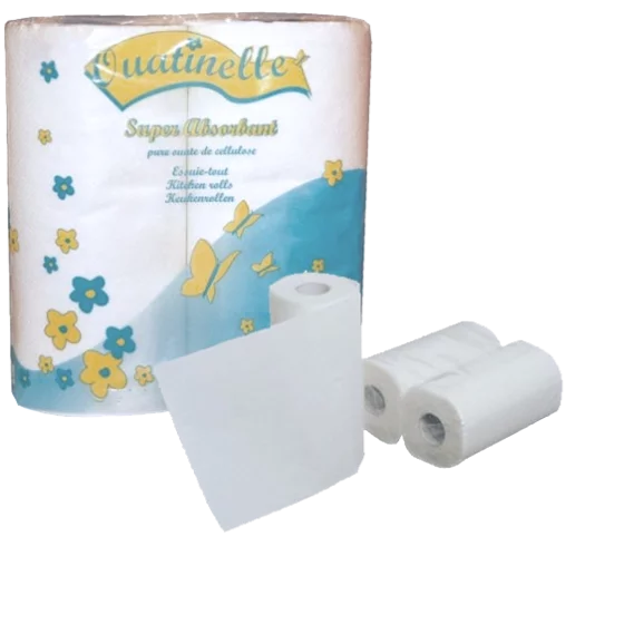 Essuie-tout super absorbant (40 Rouleaux de 50 feuilles)