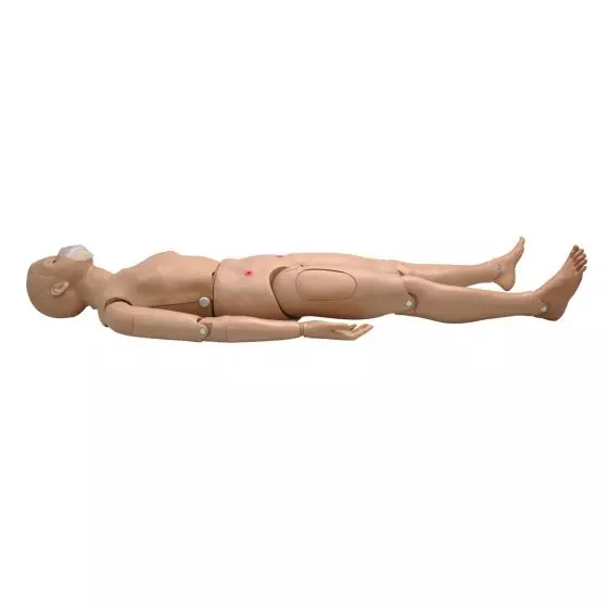 Simulateur corps intégral avec des régions veineuses CPR SIMON BLS 3B Scientific W45115 1017559