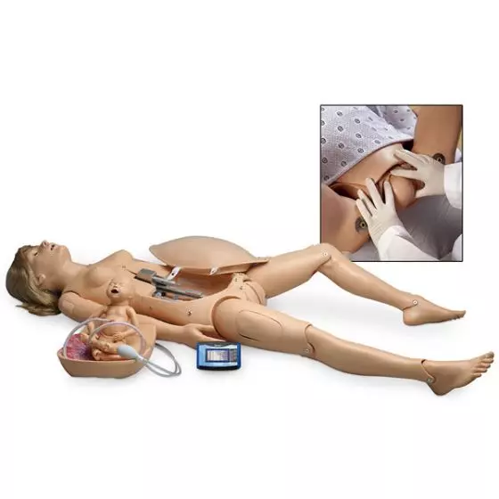 NOELLE® Simulateur d'accouchement 3B Scientific W45111