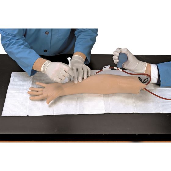 Simulateur bras pour ponction artérielle 3B Scientific W44022
