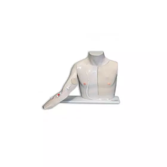 Simulateur de cathétérisme veineux Torse Chester Chest W46507/1 1009801 3B Scientific